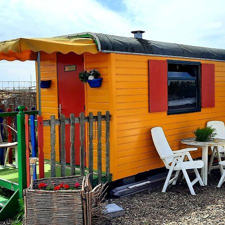 B&B Boerderij Rust, In Pipowagens! Ден-Хелдер Экстерьер фото
