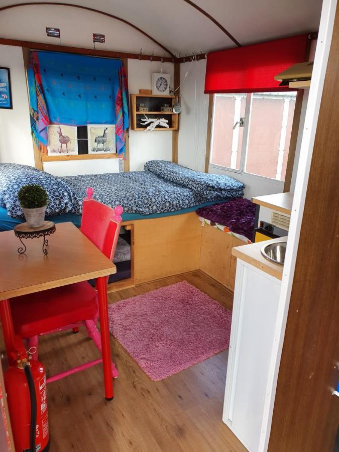 B&B Boerderij Rust, In Pipowagens! Ден-Хелдер Экстерьер фото
